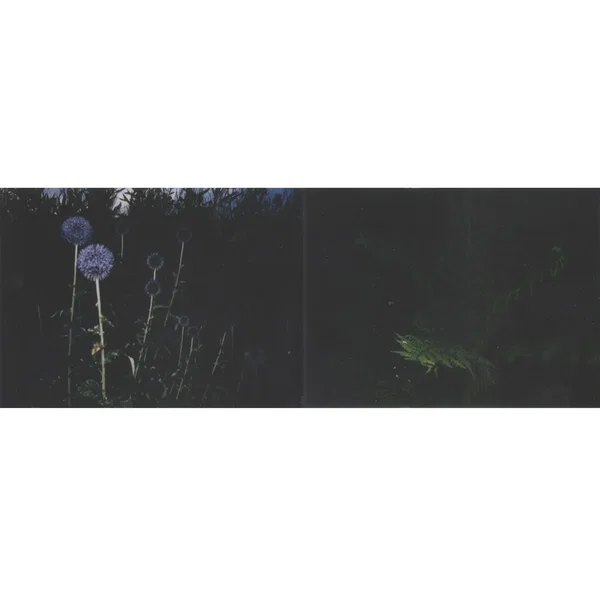 [untitled]