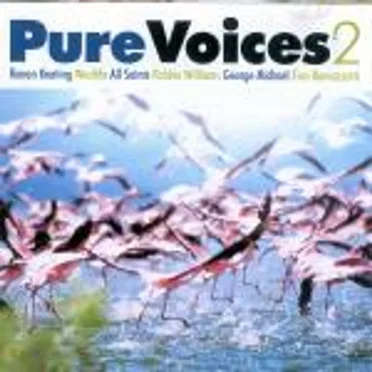 Pure Voices 2 by Various Artists - album cover