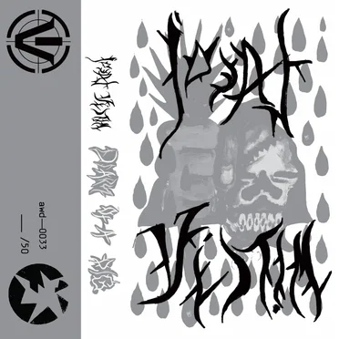 diary of a pig by ideal victim - album cover