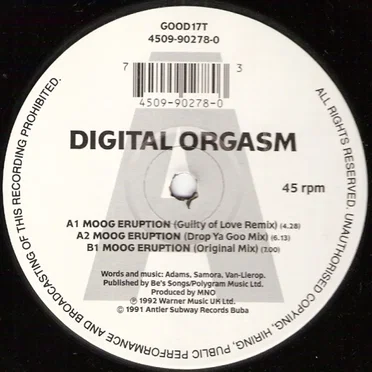 Moog Eruption by Digital Orgasm - album cover