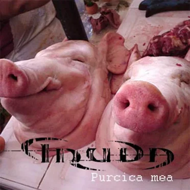 Purcica Mea