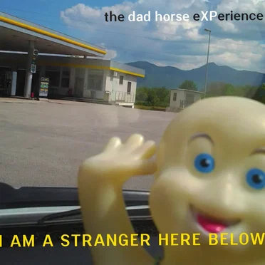 I am a Stranger Here Below by The Dad Horse Experience - album cover