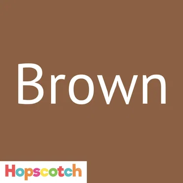 The Color Brown Song by Hopscotch Songs - album cover