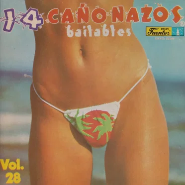 14 Cañonazos Bailables Vol. 28 by Various Artists - album cover
