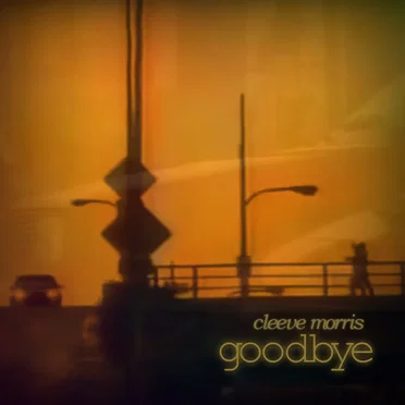 Goodbye
