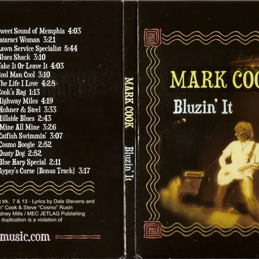 Bluzin' It by Mark Cook - album cover