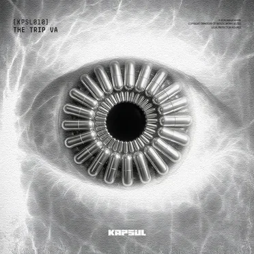 The Trip VA by Various Artists - album cover