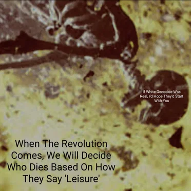 When The Revolution Comes, We Will Decide Who Dies Based On How They Say 'Leisure' by If White Genocide Was Real I'd Hope They'd Start With You - album cover