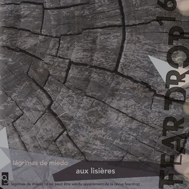 Lágrimas de miedo 16 - Aux lisières by Various Artists - album cover