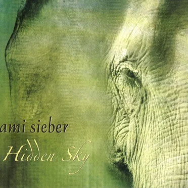 Hidden Sky