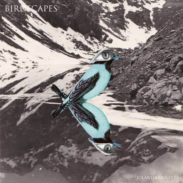 Birdscapes EP