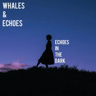 Echoes In The Dark