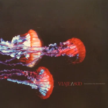 Estampida de trombones by Viaje a 800 - album cover
