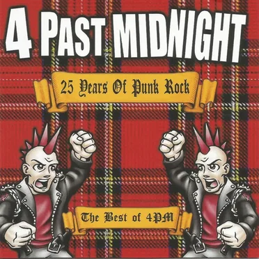 25 Years Of Punk Rock