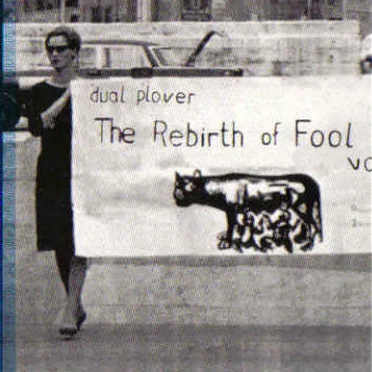 The Rebirth of Fool, Volume 2 by Various Artists - album cover