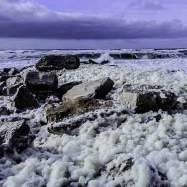 Sea Foam Rough Demo