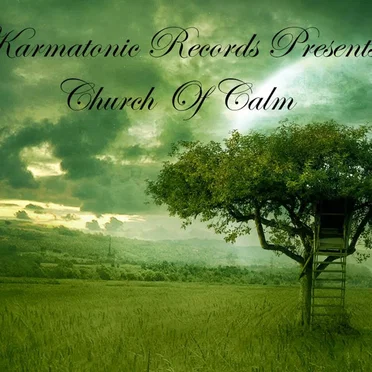 Church Of Calm by Various Artists - album cover