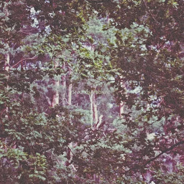 Ambient