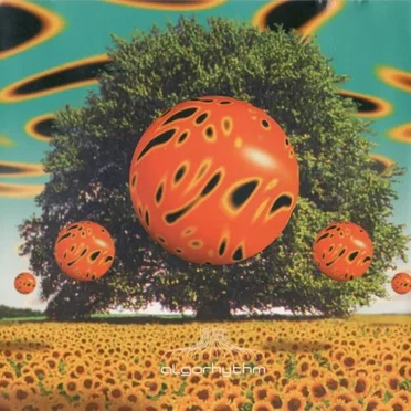 Algorhythm by Boxcar - album cover