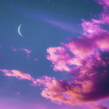 Moonlight Densetsu (Remix) by Patrick Moon Bird - album cover