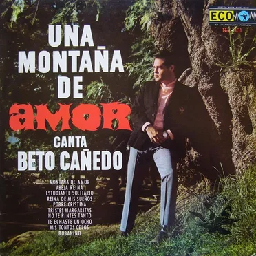 Una montaña de amor