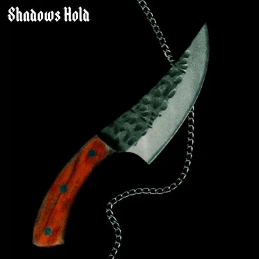 Shadows Hold by Shadows Hold - album cover