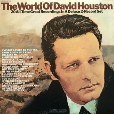 The World Of David Houston