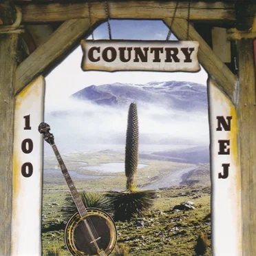 100 nej country by Various Artists - album cover