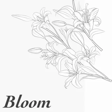 Bloom