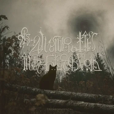Transcendental by The Answer Lies in the Black Void - album cover