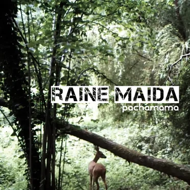 Pachamama by Raine Maida - album cover