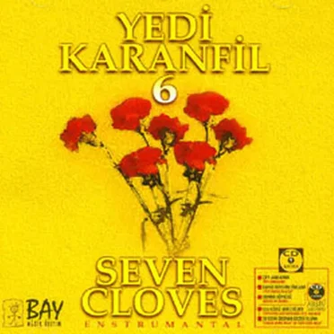 Yedi Karanfil 6 by Yedi Karanfil - album cover