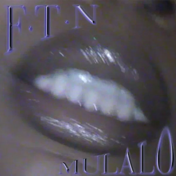 FTN + Chargin