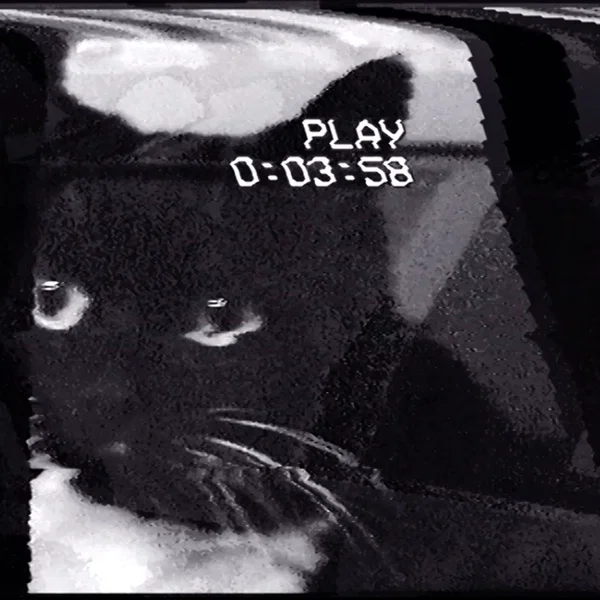 CATSONG