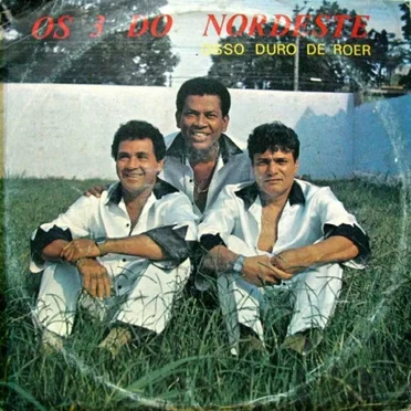 Osso Duro de Roer by Os 3 do Nordeste - album cover