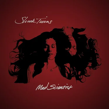 Mad Scientist by Shook Twins - album cover