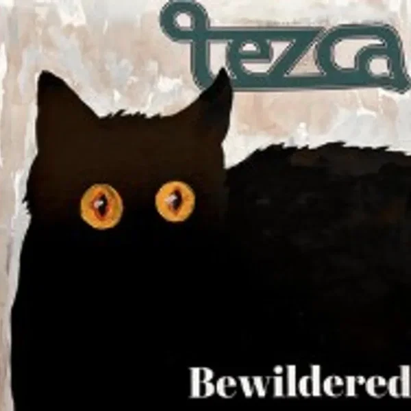 Bewildered