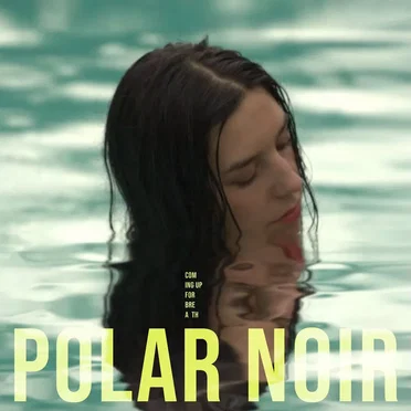 Polar Noir