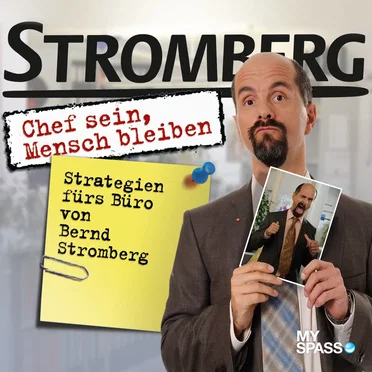Stromberg: Chef sein, Mensch bleiben by Ralf Husmann - album cover