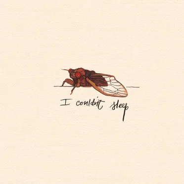 I Couldn't Sleep