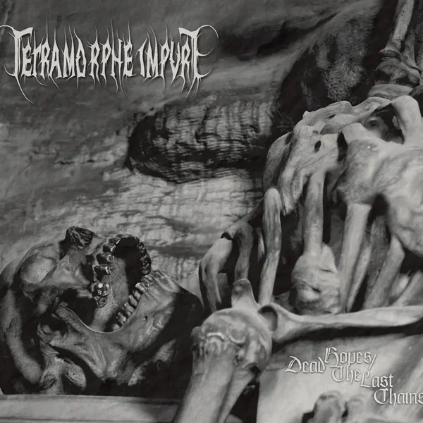 Dead Hopes / The Last Chains