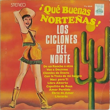 Los Ciclones del Norte