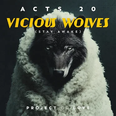 Acts 20 - Vicious Wolves (Stay Awake) by Project Of Love - album cover