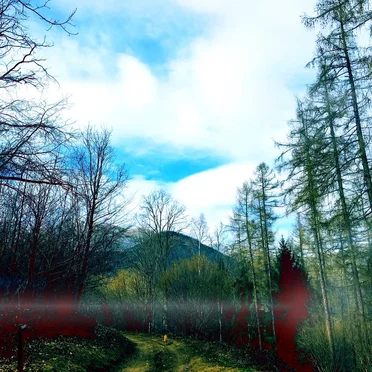 Natural Field Recordings I