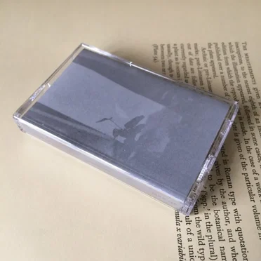 Leisure Scars by Cremation Lily - album cover