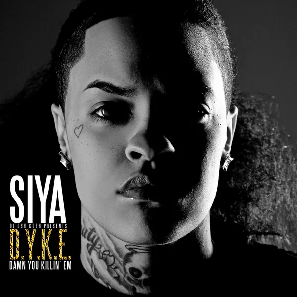 D.Y.K.E. (Damn You Killin Em)