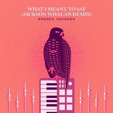 What I Meant to Say (Jackson Whalan Remix)