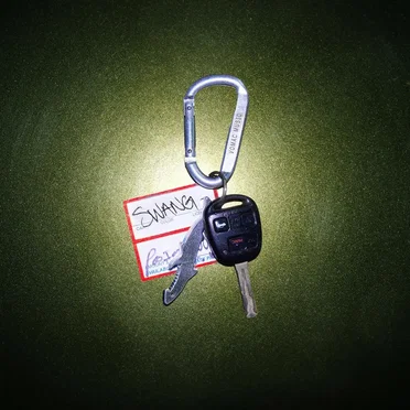 Swang by Myles Parrish - album cover
