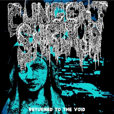 Returned to the Void by Pungent Shroud - album cover