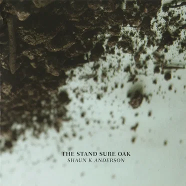 The Stand Sure Oak by Shaun K Anderson - album cover